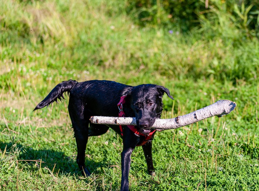Photograph by Вадим Басов