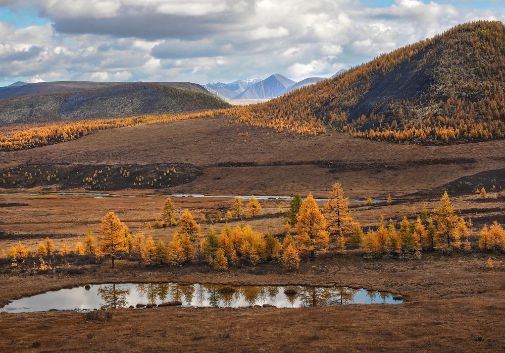 Photograph by Александр Попов