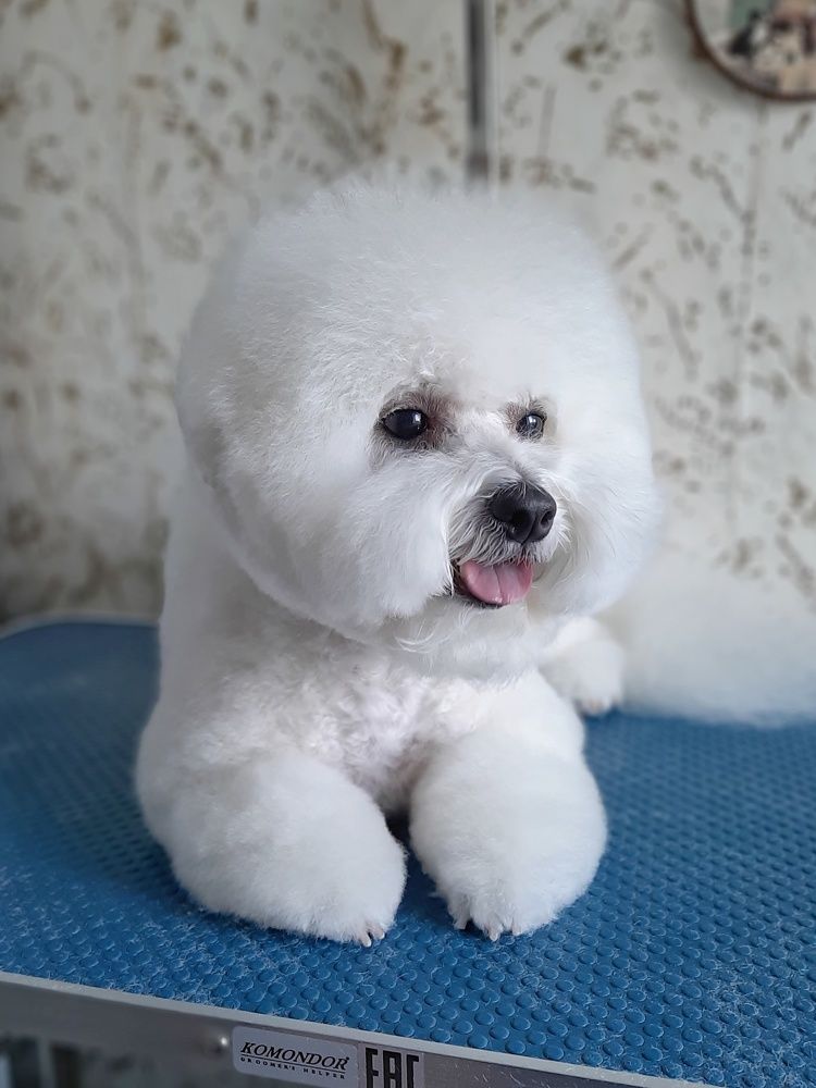 Photograph by Бакшеева Марина