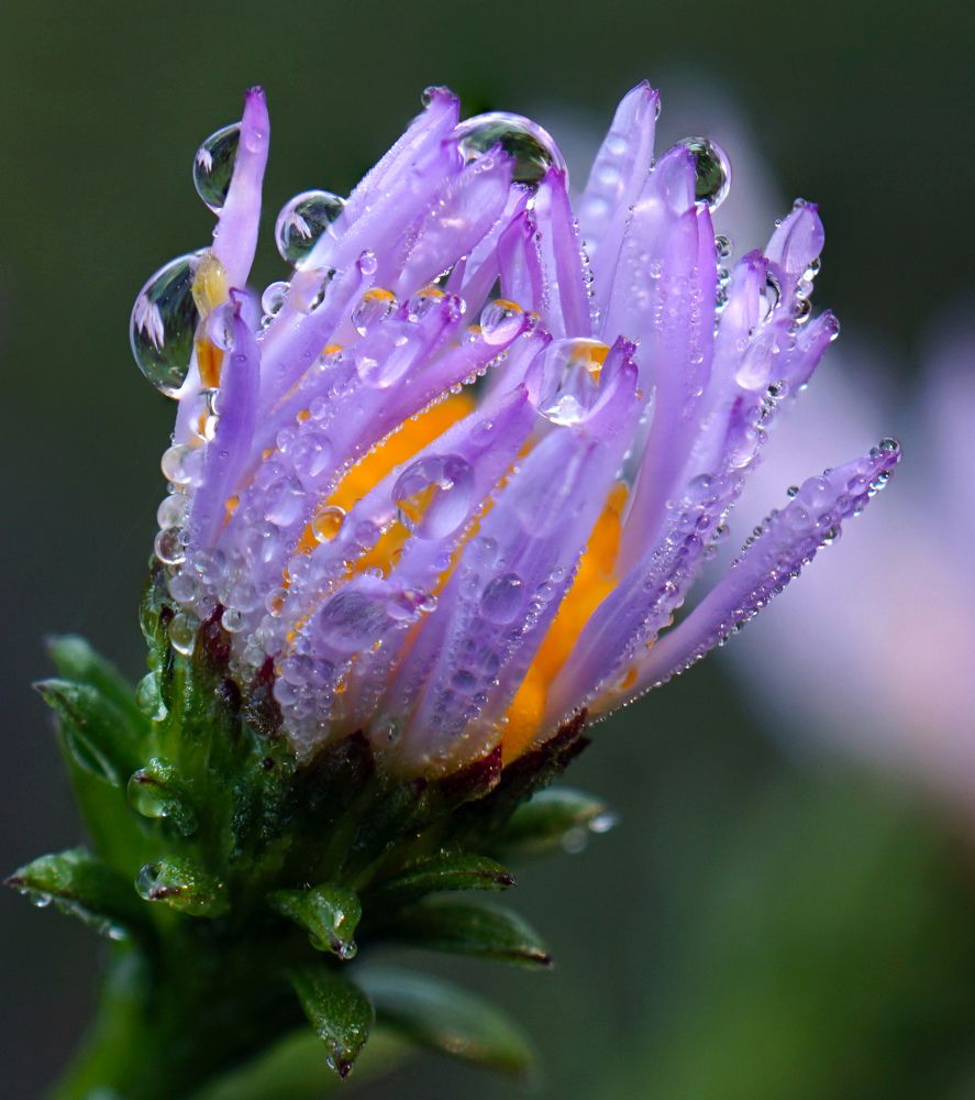 Photograph by Наталья Соколова