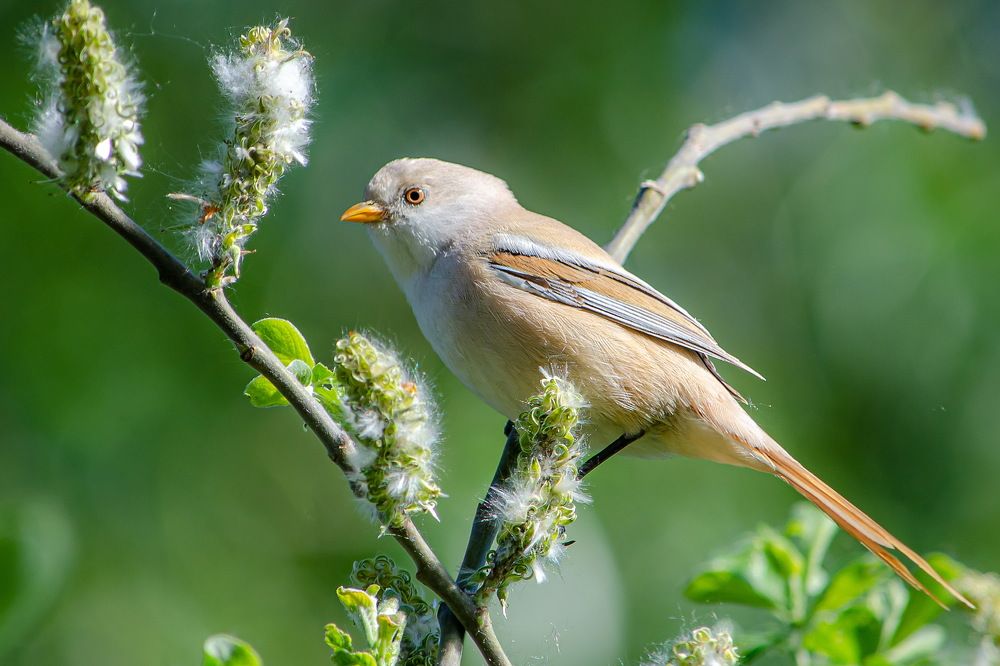 Photograph by Оксана Маховская