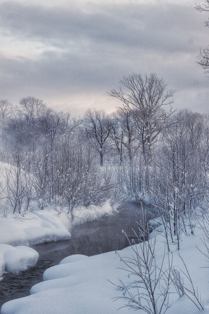 Photograph by Наталья Островцева