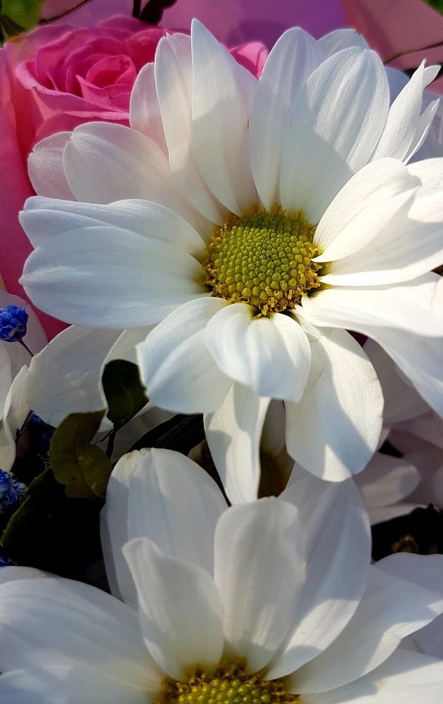 Photograph by Марина Козлова