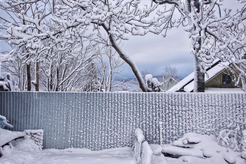 Photograph by Наталья Островцева