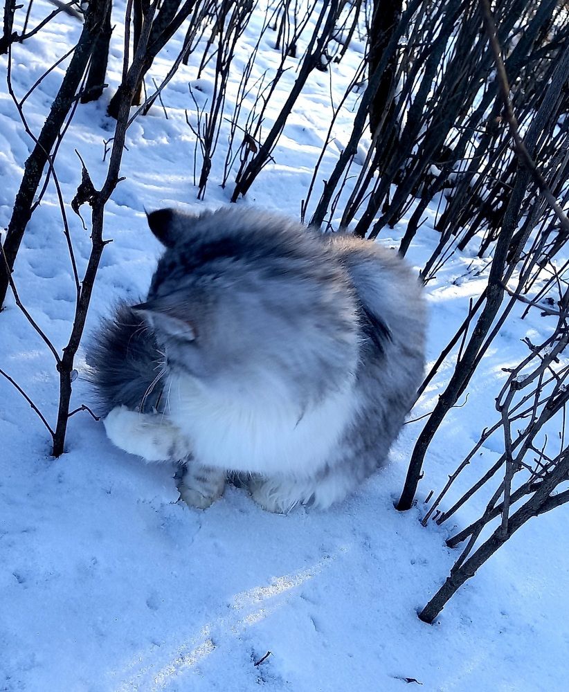 Photograph by Марина Козлова