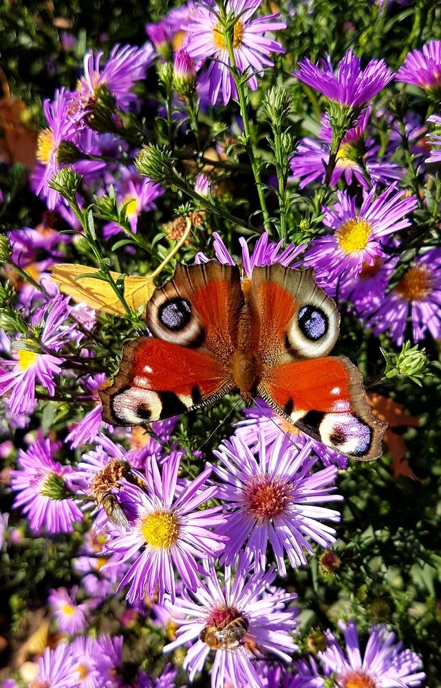 Photograph by Марина Козлова