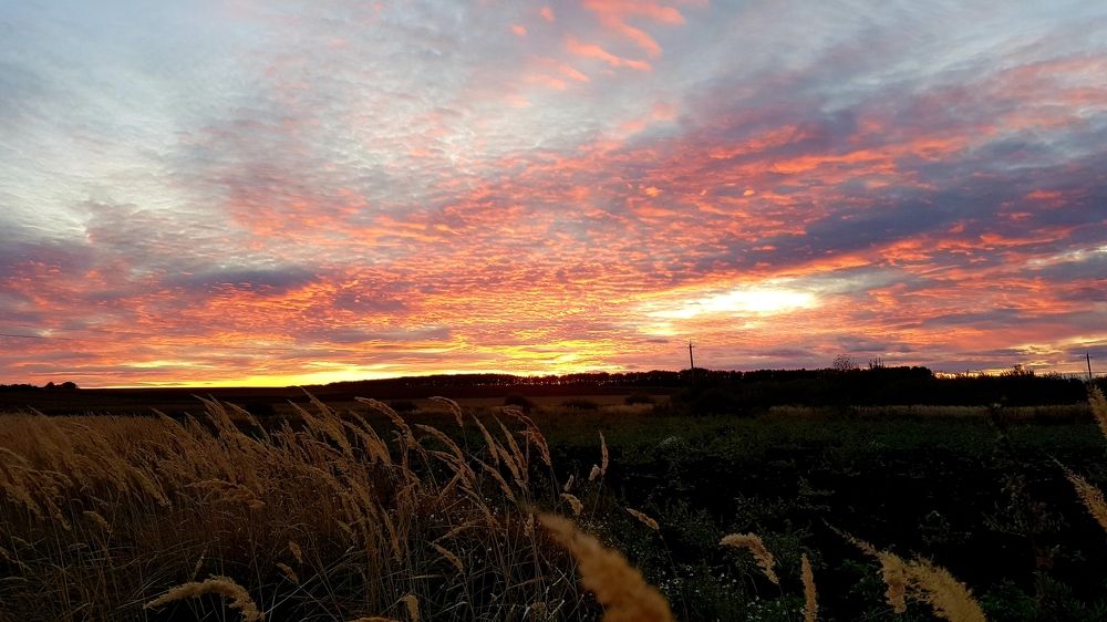 Photograph by Марина Козлова