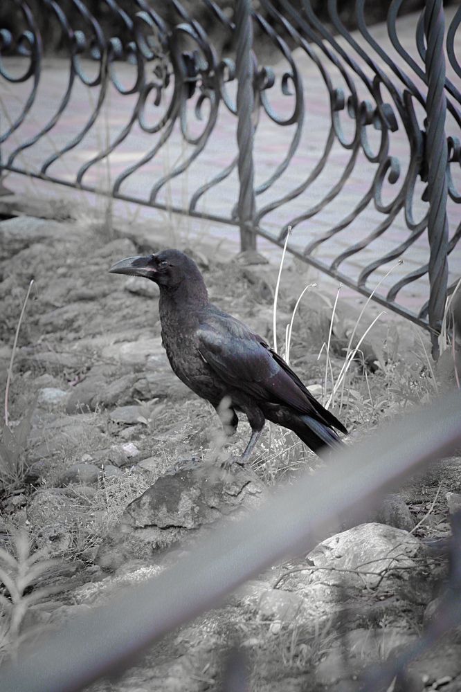 Photograph by Наталья Островцева