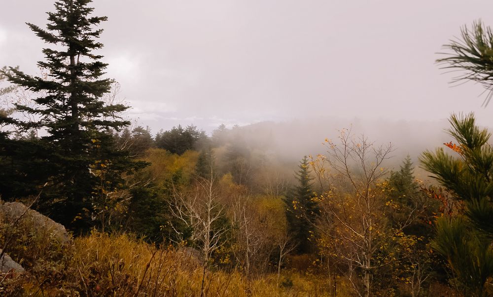 Photograph by Наталья Лобанова