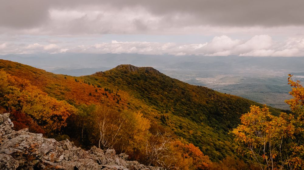Читинза.Приморский край