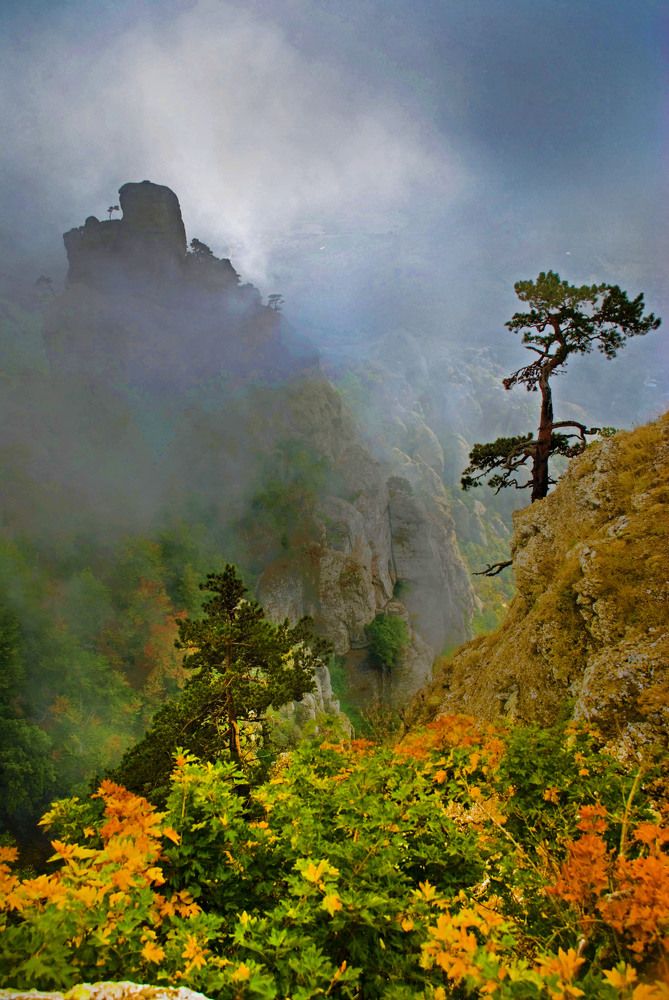 Photograph by Евгений Самулев