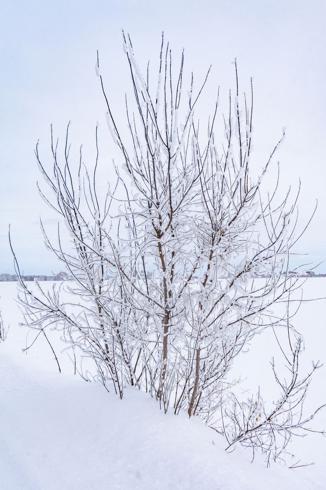 Фотография автора Виталий Гавронский