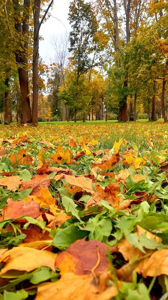 Photograph by Марина Козлова