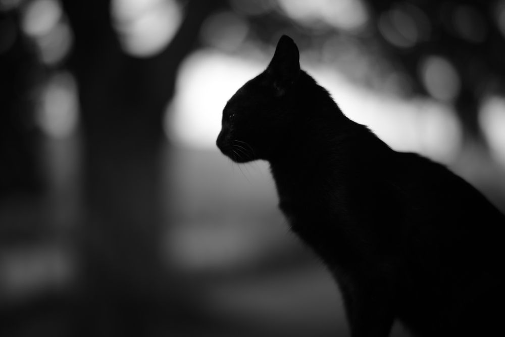 Photograph by Andrew Becker