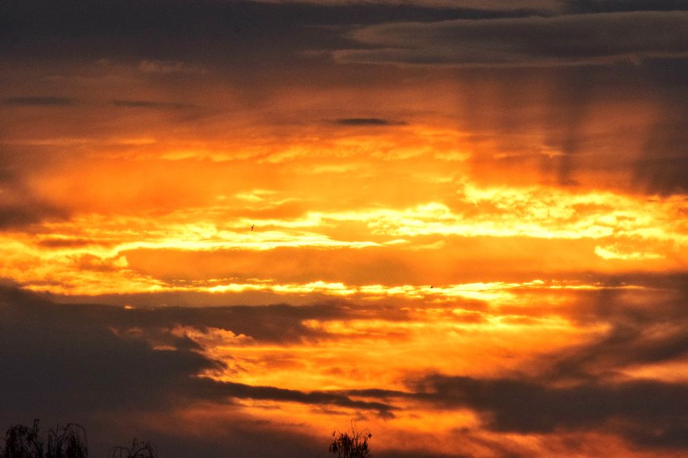 Photograph by Onyx X