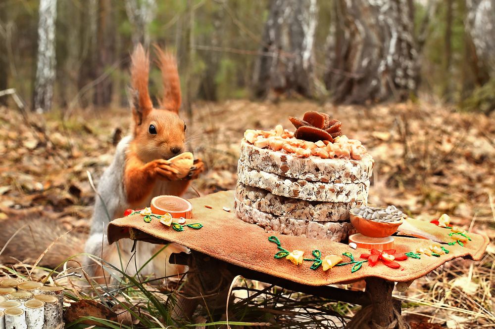 За чаем не скучаю — по семь чашек выпиваю