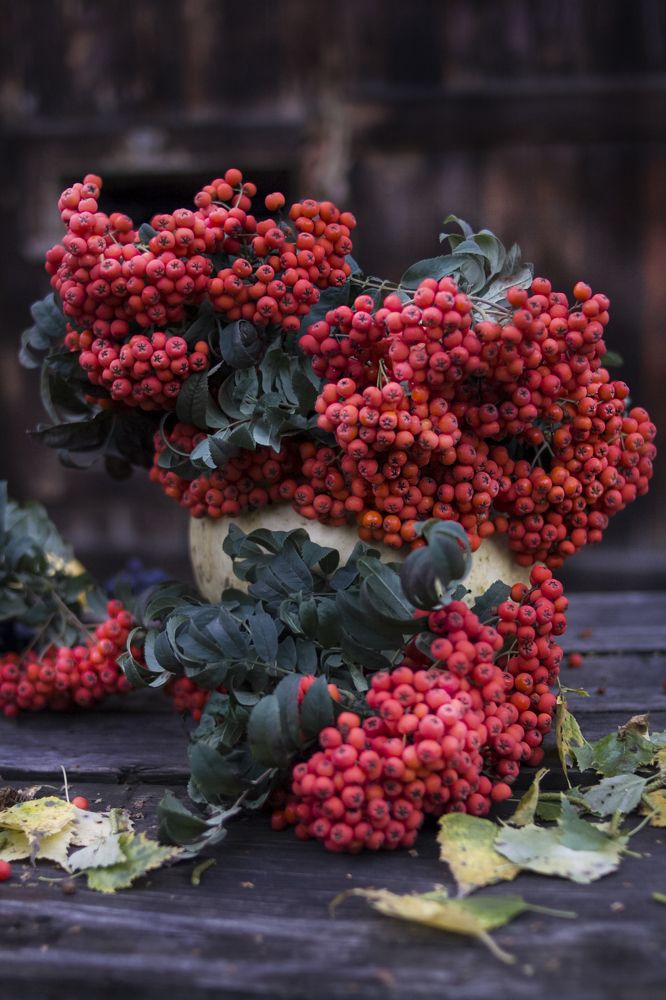 Photograph by Татьяна Шахматова