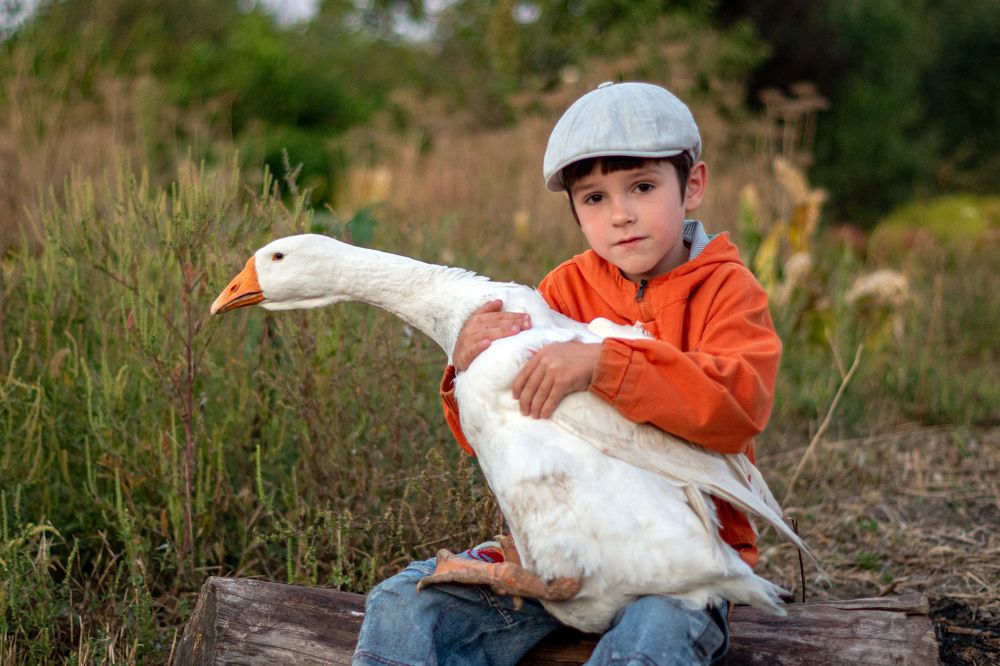 Photograph by Галина Григорьева