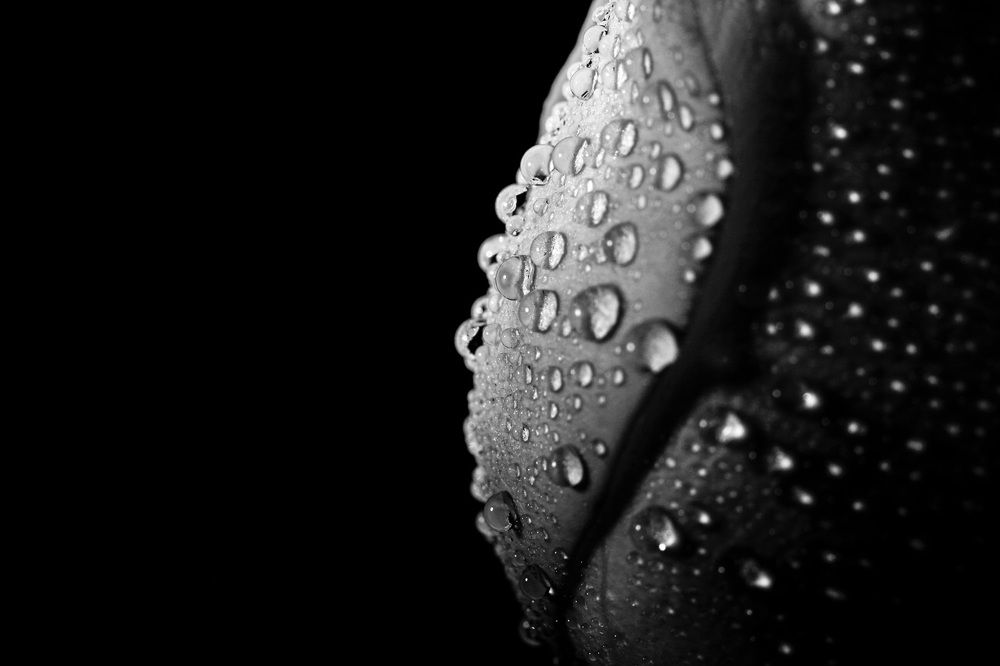 Фотография автора Nikolay Tatarchuk