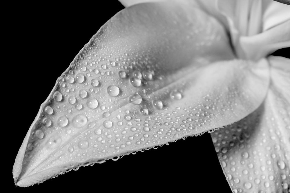 Фотография автора Nikolay Tatarchuk