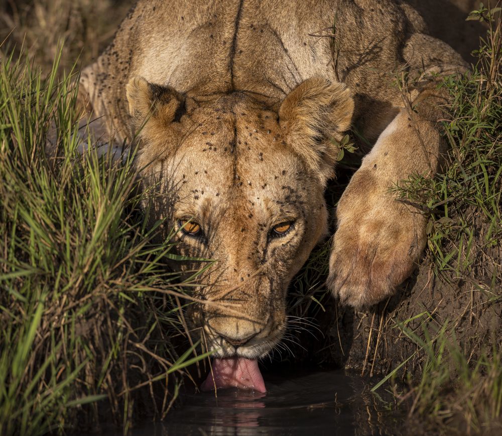 Photograph by Goutham Ganesh Sivanandam