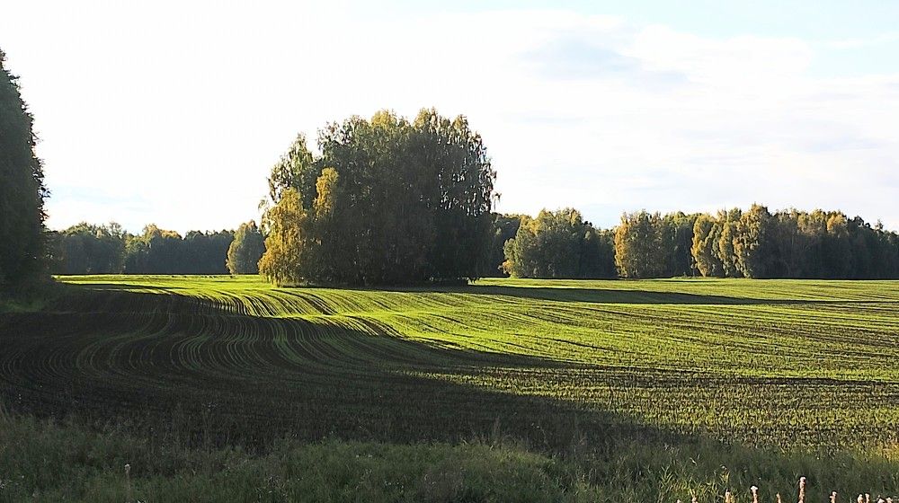 Photo #9577256
