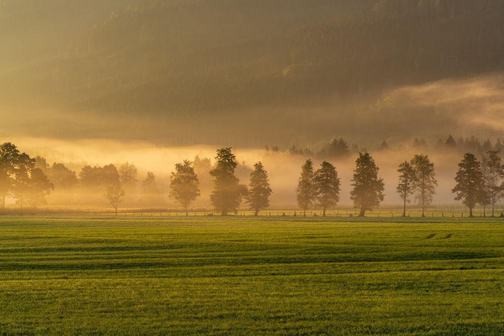 Photograph by Ilia Stolov