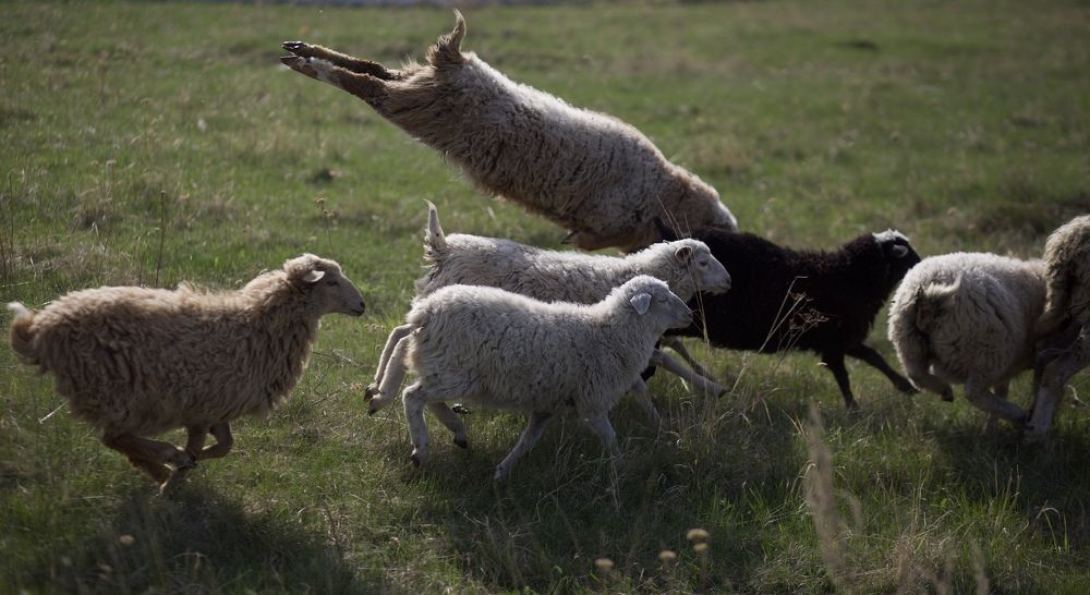 Photograph by Kseniya Yasyuchenya