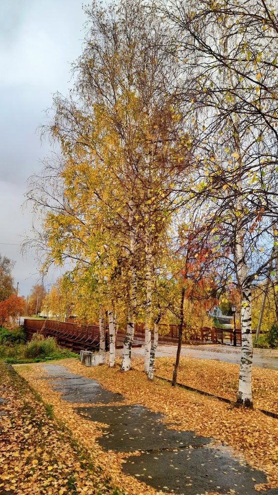 Photograph by Наталья Исаева