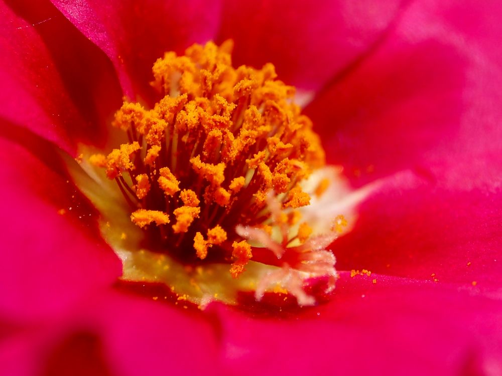 Photograph by Abdolreza Aleagha