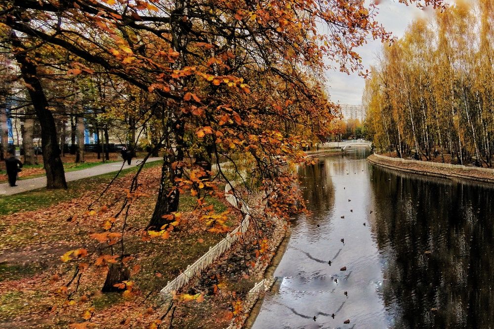 Photograph by Светлана