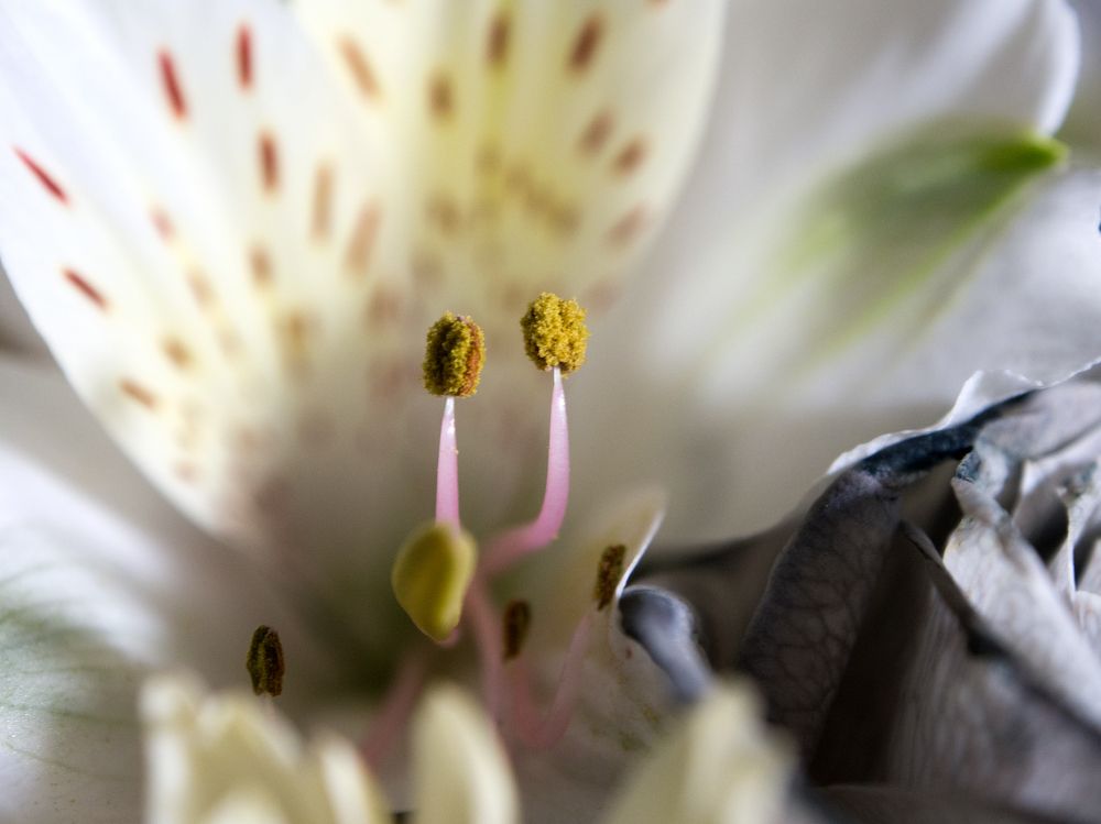 Photograph by Abdolreza Aleagha