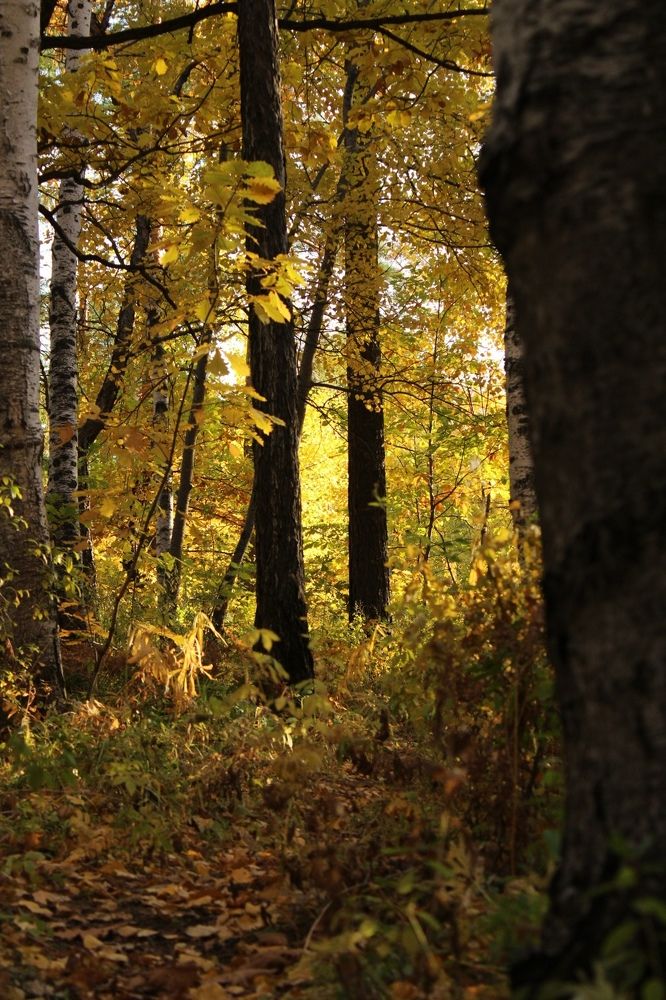 Photograph by Тимофей Федоровцев