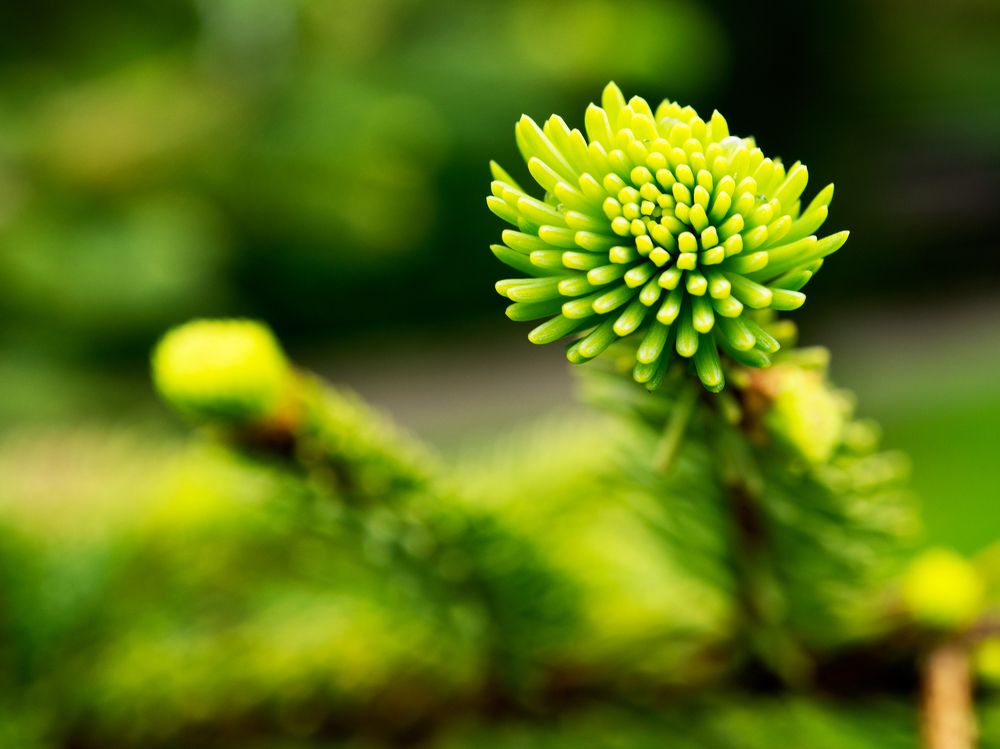 Photograph by Abdolreza Aleagha