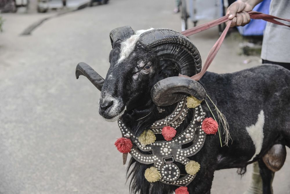 Photograph by Pujo Cahyono