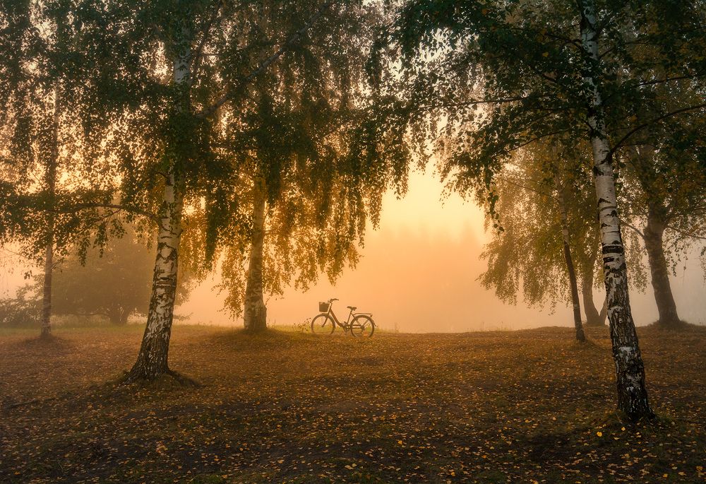 Photograph by Елена Потемина