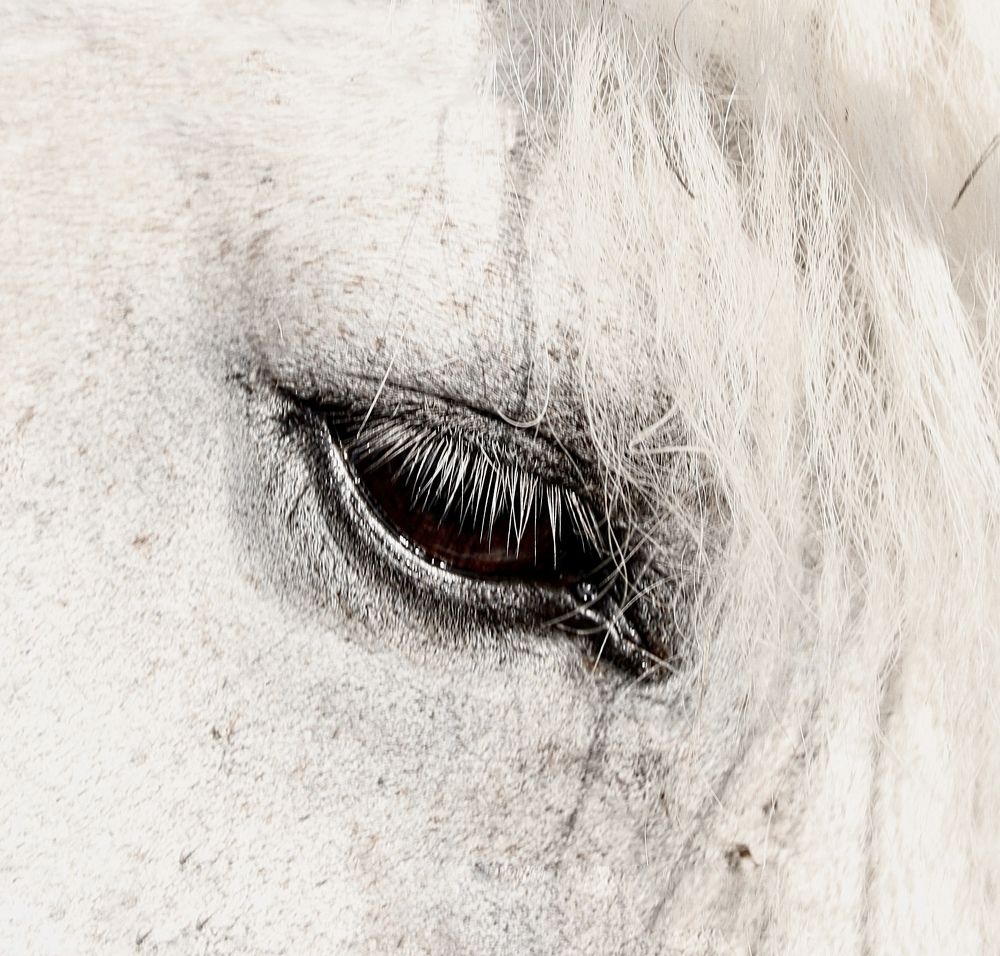 Photograph by Гуляева Светлана