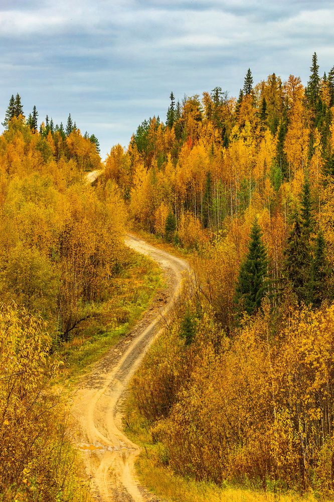 Photograph by  Толяныч-