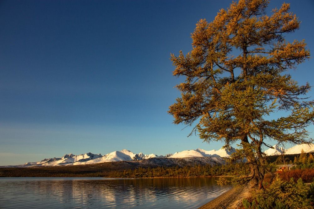 Фотография автора Александр Довганюк