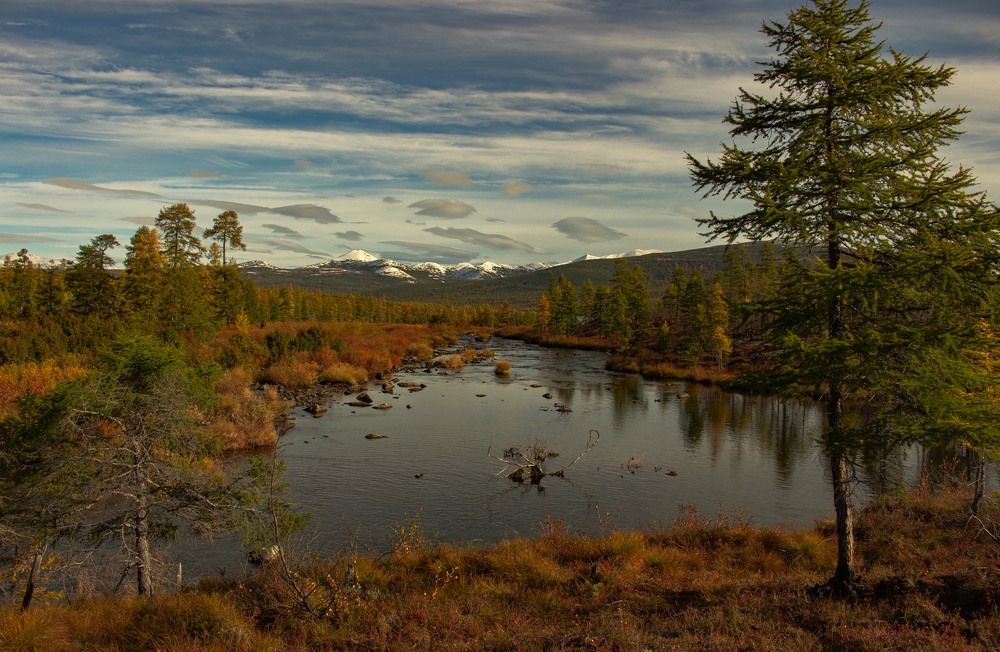 Фотография автора Александр Довганюк