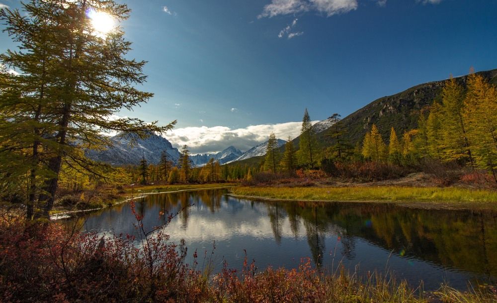 Фотография автора Александр Довганюк