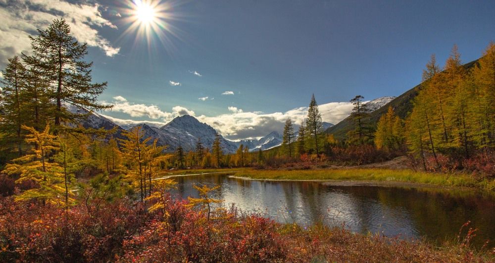 Фотография автора Александр Довганюк