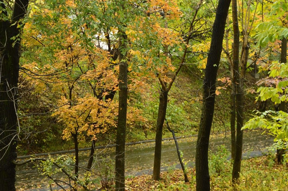 Photograph by Natalia Kopeva