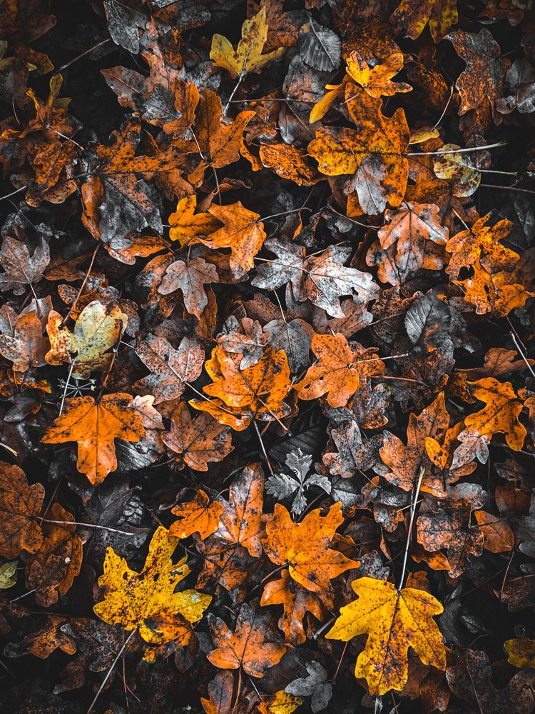 Photograph by Мария Акимова