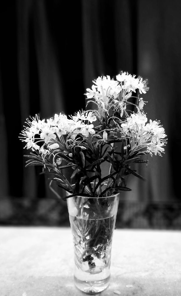 Фотография автора Евгения Зайцева