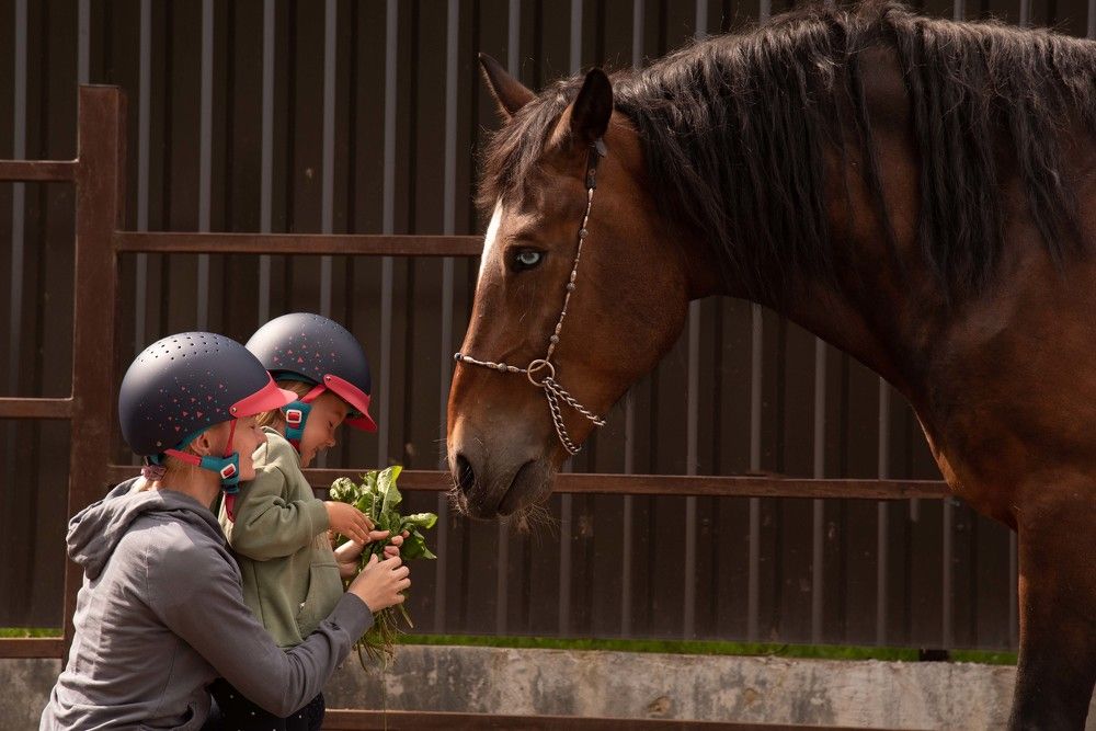 Photograph by Елена Мороз