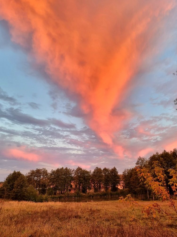 Photograph by Elena Lukashina