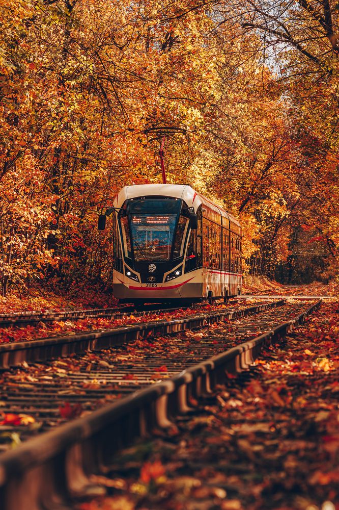 Photograph by Rom@shkin