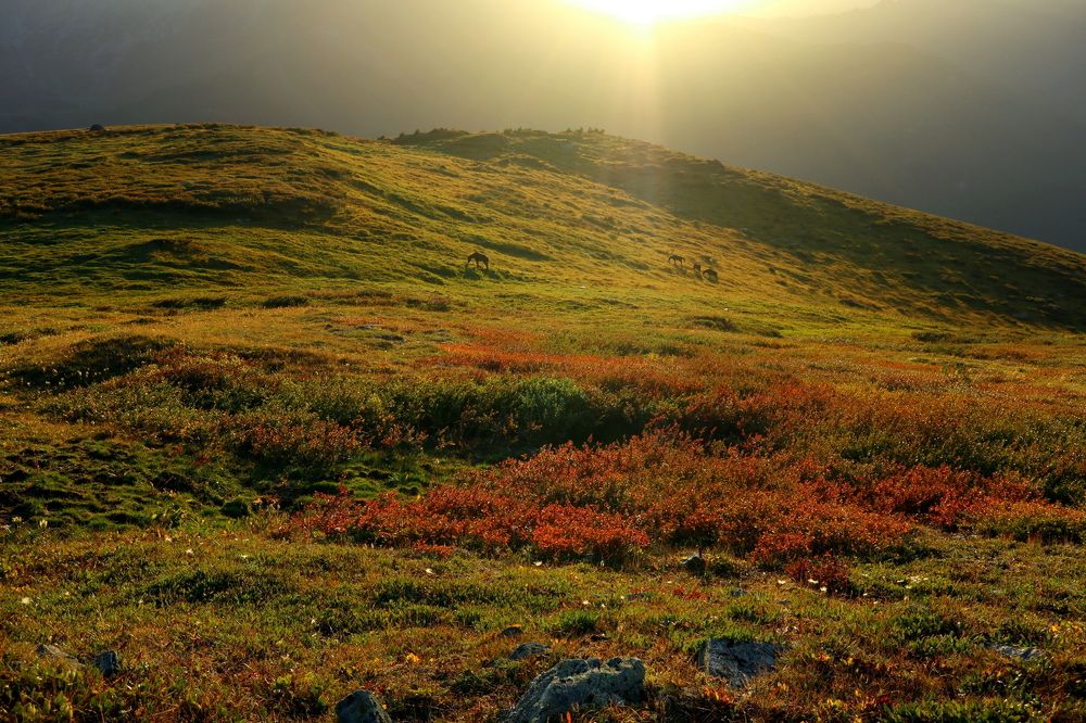 Photograph by Рашид Шайдулин