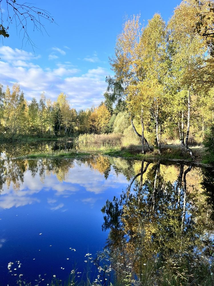 Photograph by Кира